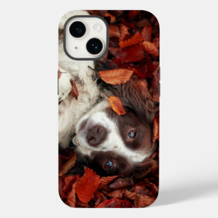 Coque Pour iPhone 14 Animaux de bébés cutest L'espagnol dans les feui