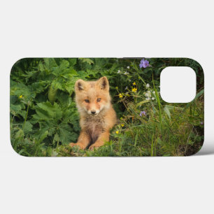 Case-Mate iPhone Case Animaux de bébés cutest Renard rouge à Umnak Ala