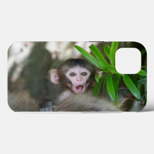 Case-Mate iPhone Case Animaux de bébés cutest Singe des neiges surpris