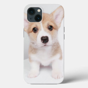 Case-Mate iPhone Case Animaux de bébés cutest Tiny Corgi