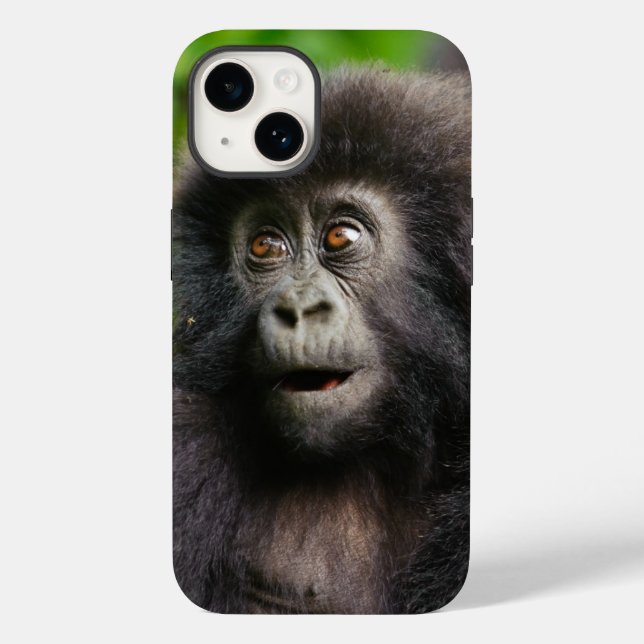 Coques Case-Mate iPhone Animaux de bébés cutest | Young Mountain Gorilla (Verso)