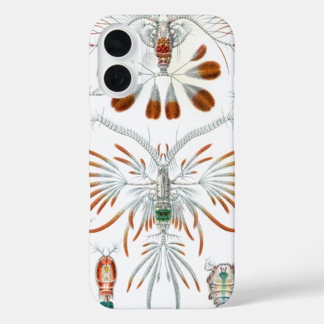 Coques Case-Mate iPhone Animaux de l'océan vintage, Copepoda par Ernst Hae (Verso)