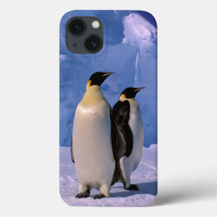Coques Pour iPhone Antarctique, Territoire antarctique australien, 7