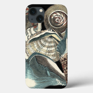 iPhone 13 Coque Anthologie de coquillage