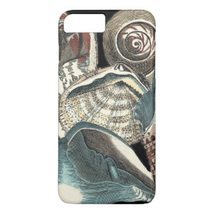 Case-Mate iPhone Case Anthologie de coquillage
