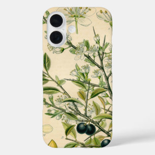 Coques iPhone 16 Antique Blackthorn Botanique Imprimé Fleur Berry