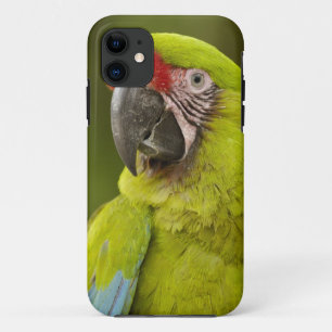 Etui iPhone Case-Mate Ara militaire