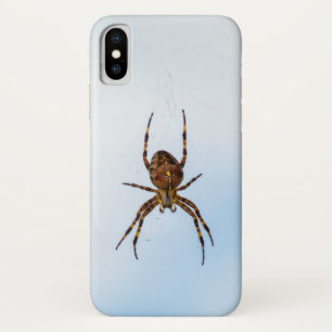 Case-Mate iPhone Case araignée croisée dans la toile
