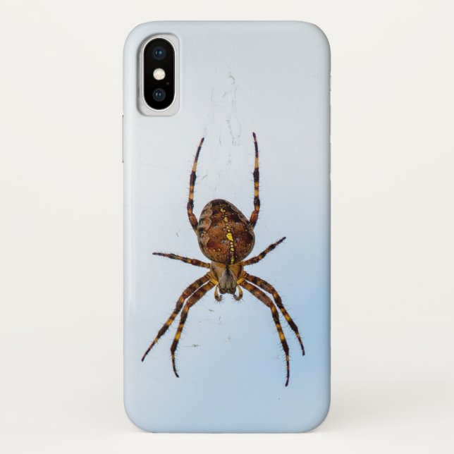 Coques Case-Mate iPhone araignée croisée dans la toile (Dos)