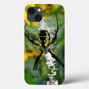 iPhone 13 Coque Araignée d'orbite dans la toile
