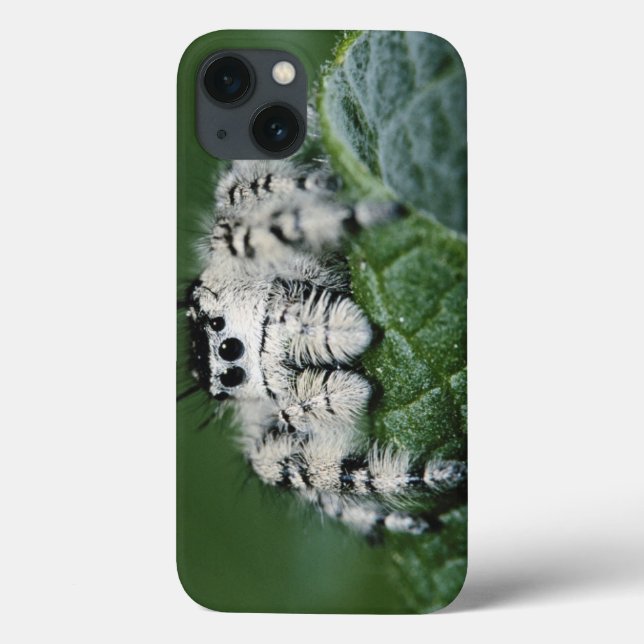 Coques Case-Mate iPhone Araignée sauteuse Metaphid (Verso)