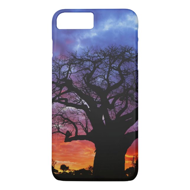 Coques Case-Mate iPhone arbre baobab africain, Adansonia digitata, 2 (Dos)