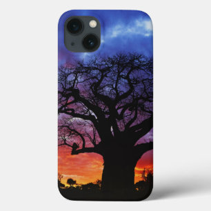 Case-Mate iPhone Case arbre baobab africain, Adansonia digitata, 2