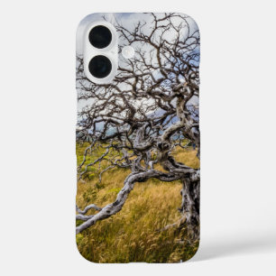 Coques iPhone 16 Arbre brûlé, Torres del Paine, Chili