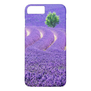 Etui iPhone Case-Mate Arbre solitaire à Lavender Field, France
