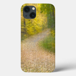 Coques Pour iPhone Arbres aux couleurs d'automne et chemin couvert de