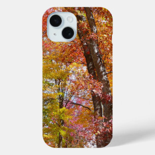 Coque Pour iPhone 15 Arbres d'automne orange et jaune Photographie d'au