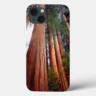 Coques Pour iPhone arbres séquoias géants à feuilles rouges