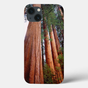 iPhone 13 Case Arbres séquoias géants à feuilles rouges de vieill