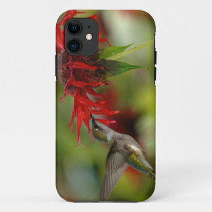 Etui iPhone Case-Mate Archilochus Colubris