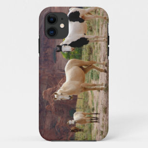 Coque iPhone 11 Arizona, Navajo réserve indienne, Chinle,
