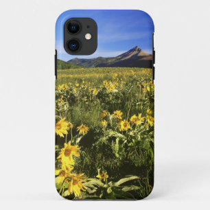 Coque Case-Mate Pour iPhone Arrowleaf balsomroot couvre la prairie avec