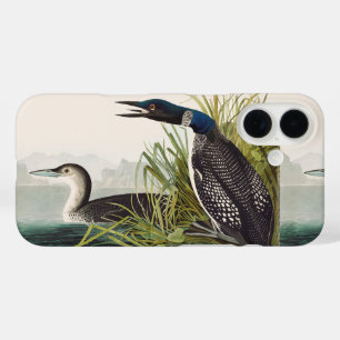 Coques iPhone 16 Art de la nature sur l'oiseau plongeon huard commu
