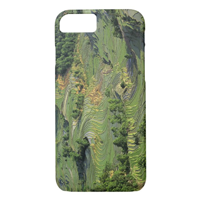 Coques Case-Mate iPhone Asie, Chine, Yunnan, Yuanyang. Motif de vert 2 (Dos)