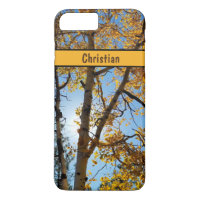 Aspen Tree Golden Fall Foliona Arizona