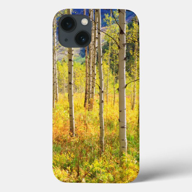 Coques Case-Mate iPhone Aspen Trees (Verso)