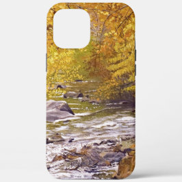 Case-Mate iPhone Case Aspens d'automne colorés à Morrison Colorado