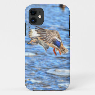 Coques Pour iPhone Atterrissage du canard-Majard Photo de la faune