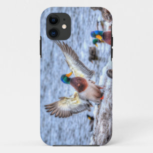Case-Mate iPhone Case Atterrissage du canard Mallard Drake 5 Photo de la
