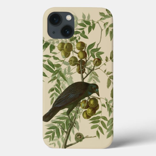 Coques Case-Mate iPhone Audubon American Crow Black Bird (Verso)