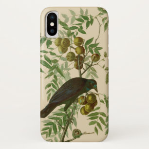 Case-Mate iPhone Case Audubon American Crow Black Bird