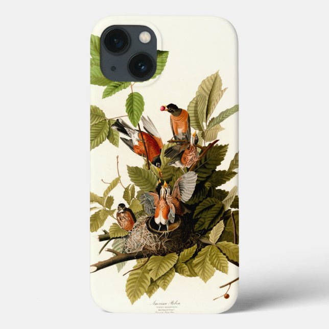 Coques Case-Mate iPhone Audubon American Robin Wildlife Bird (Verso)
