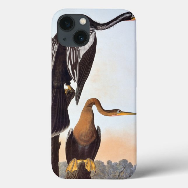 Coques Case-Mate iPhone Audubon : Anhinga (Verso)