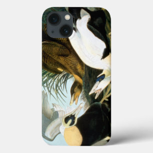 Case-Mate iPhone Case Audubon : Canard d'Eider
