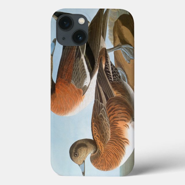 Coques Case-Mate iPhone Audubon : Canard siffleur (Verso)