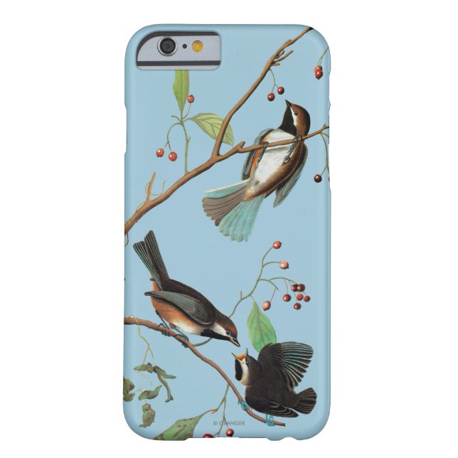 Coques Case-Mate iPhone Audubon : Chickadee (Dos)