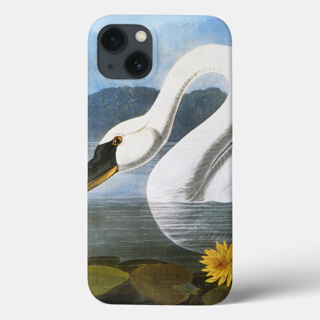 Coques Case-Mate iPhone Audubon : Cygne commun (Verso)