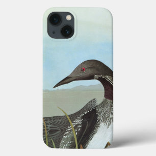 iPhone 13 Case Audubon : Dingue arctique
