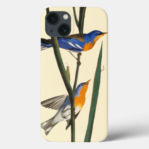 iPhone 13 Case Audubon : Fauvette