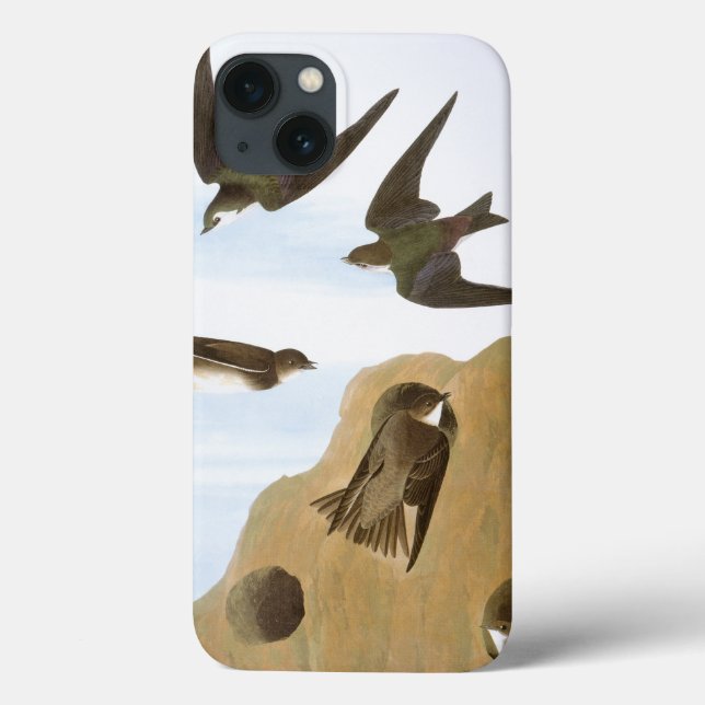 Coques Case-Mate iPhone Audubon : Hirondelles (Verso)