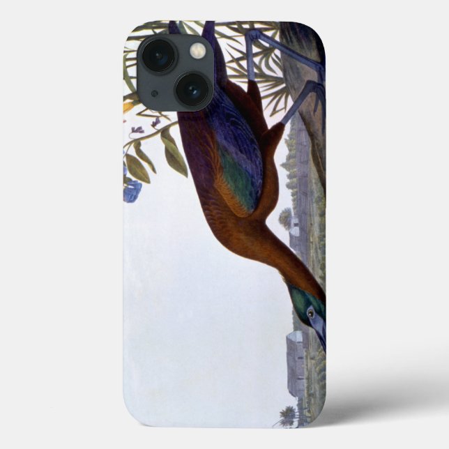 Coques Case-Mate iPhone Audubon : Ibis brillant (Verso)
