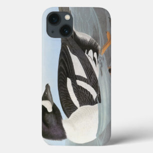 iPhone 13 Case Audubon : Le Goldeneye de la brouette