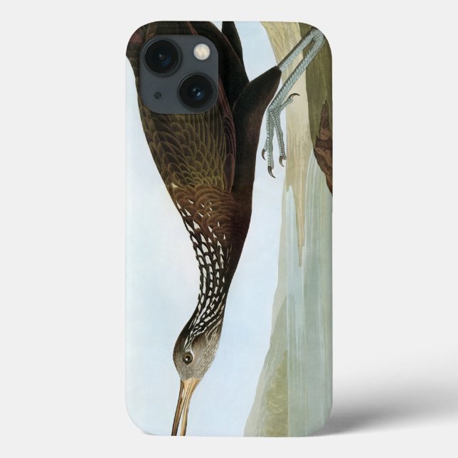 Coques Case-Mate iPhone Audubon : Limpkin (Verso)