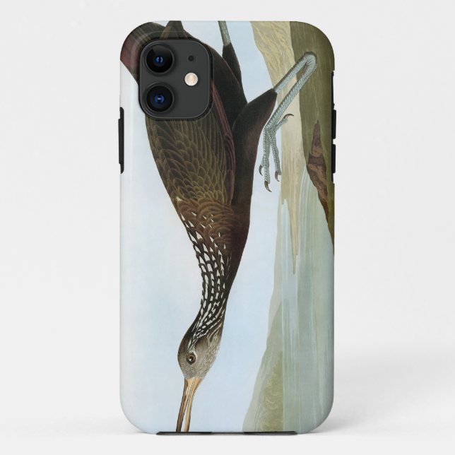 Coques Case-Mate iPhone Audubon : Limpkin (Dos)