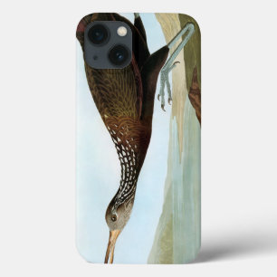 iPhone 13 Case Audubon : Limpkin