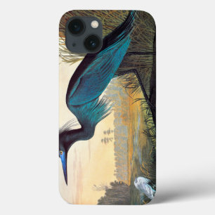 Etui iPhone 13 Audubon: Little Blue Heron